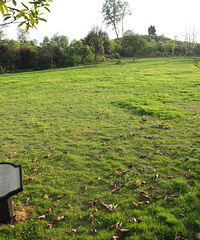 缪氏庄园一日游,占地3000多亩,有41种葡萄,