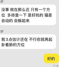 丢猫后把整栋楼都翻遍了也没找到,后面竟通过这个办法找回了