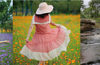 ѹ԰ԼӵһƬ޲ݺͽ𼦾