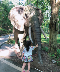 �����ܱ������Σ���Щ�ط������ʺϴ��޶�