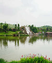 你以为枫香湖只有儿童公园?错!这些景色错过真的太可惜了