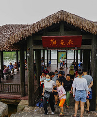 你以为枫香湖只有儿童公园?错!这些景色错过真的太可惜了