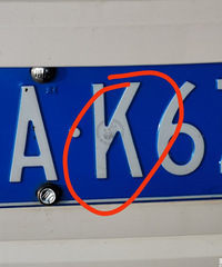 ������˵���ҳ������˼����ˣ��Ҳŷ�����������è