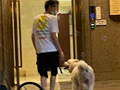 业主遛狗不栓绳?