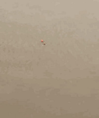 ʵ��������ˮ����������򡱡����ڹ�ʯ��ˮλ���ǣ�