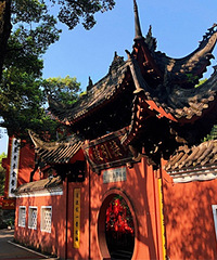 ������Щ�������ӱȽ��飿�����Ƽ�������