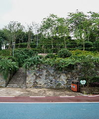 探秘水土思缘郊野公园,人超级少的公园,视野开阔很舒服