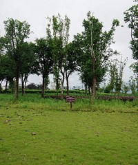 探秘水土思缘郊野公园,人超级少的公园,视野开阔很舒服