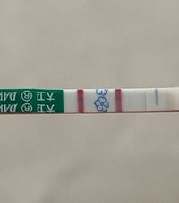 �����ڼ���������10���죬���Ų��ˣ�����û�뵽��Ȼ�ǻ�����