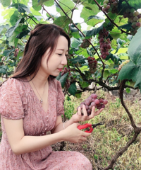 不要入园费,边摘边吃的葡萄,带走才8块/斤!能看免费的格桑花