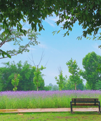 ��������ܱ����Ƽ���һ����ʱ��ȥ��Щ�ط��Ͷ��ˣ�����ˣ�¶�