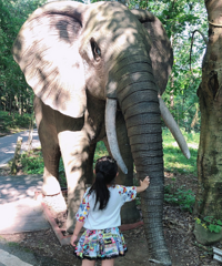 �ײ⣬��Щ�ط��ʺϴ���ȥ��һ�죬�����ˣ���ɴ�ʱ��