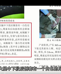 重庆红衣男孩事件不是灵异事件,有人亲自演示了捆绑过程
