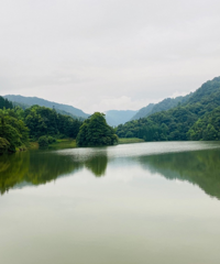 找一个凉快没人还免费的地方露营,能摸螃蟹风景好,“野奢”走起