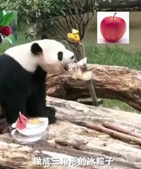 һ����԰Ϊ����è�������ӣ�����������Ĺ�����