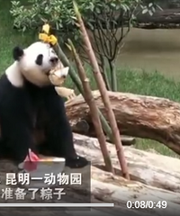 һ����԰Ϊ����è�������ӣ�����������Ĺ�����