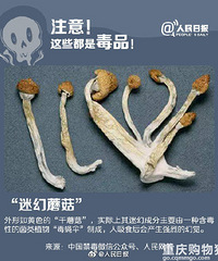 转扩防范!新型毒品伪装成香烟奶茶巧克力