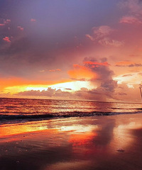 ����С��Ҫ��ǰ����Щʲô��