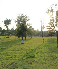 Ϫ԰СΣû˾ãӵдƬ