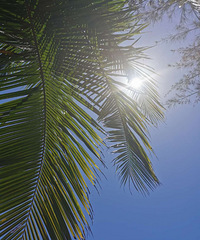 δԽɱǡ嵺ֺö౦ص