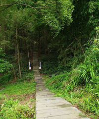 ��ĩ��ɽ��ˮ��ȥ�������첻�Ȼ�ժ����ѵ�����