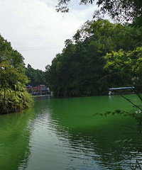 ȥ����ԭʼ��Ұ·��û�˿����ã����̵ĺ�ˮ̫���ˣ����ɹ�����