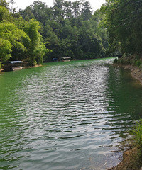 ȥԭʼҰ·û˿ã̵ĺˮ̫ˣɹ