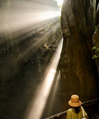 光与影的诗歌,在武陵山森林公园感受凉爽