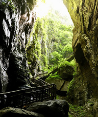 光与影的诗歌,在武陵山森林公园感受凉爽