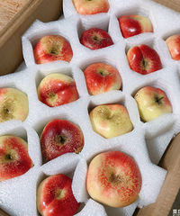 �����ֱ�ǳ����ӵļ��ڣ��̶�һ���³���5������