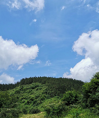 仙女山大草原+白马山天尺情缘景区,这样耍真的太舒服了
