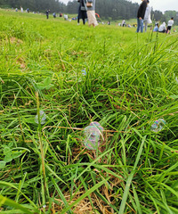 仙女山大草原+白马山天尺情缘景区,这样耍真的太舒服了
