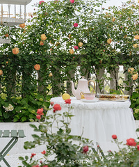 ���Լ��Ļ������Լ������棬�ҼҵĻ�԰�˼��˿䣡