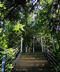 终于打卡种草很久的云上村~如画美景