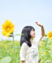 公交就能到的向日葵田,拍照超级美