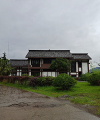 没有腊梅的腊梅园依然超美,人少还有小灯塔