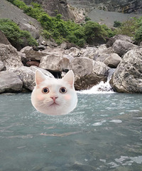 开车七小时,耍水两钟头,夏季就是要游泳耍水才开心