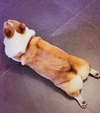 �о��ҼҵĿ»�������30���أ���Ϊ���������Ϻ��з���