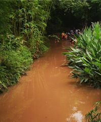 ���д�ң���Ҫ��ʪ�ع�԰���㡢��Ϻ������򽣬�ƻ���̬