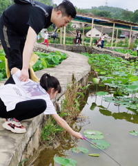 ����Ҷ�棬��ˮ����͸߶��򣬻��������Ͽ��ɻ�����ط�̫��ˣ��