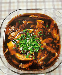 ���ǡ���԰������䣬���ճ��������ҳԵ��˵����˶��Ƽ�������