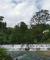 ϴ¶Ӫˣˮȥӹٶɶ¶Ӫμ