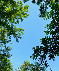 �ϴ�¶Ӫˣˮ��ȥ�������ӹٶɶ���¶Ӫ�μ�