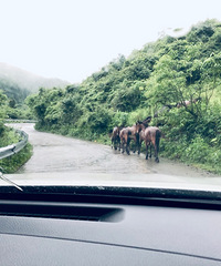 武陵山耍蛛网、划船、还可以露营