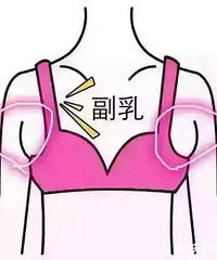 大家是怎么处理,穿衣服有"副乳"这个问题的?