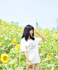 坐公交就能到的向日葵花田,没人风景好,再不去拍照又要等一年了