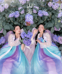 夏天也能拍的绣球花,用手机就可以出片,这几个地方一定要去打卡