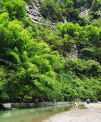 重庆居然还有这么美的地方!住云上村,看云海日出星空,还能耍水