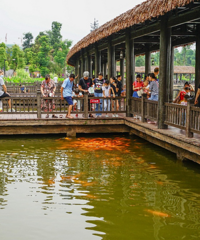 带你感受不一样的枫香湖公园,除了儿童游乐,风景超好还凉快