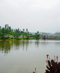 带你感受不一样的枫香湖公园,除了儿童游乐,风景超好还凉快